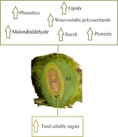 Graphical Abstract Image