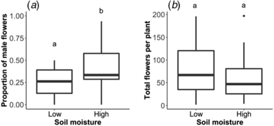 Graphical Abstract Image