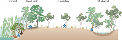Graphical Abstract Image