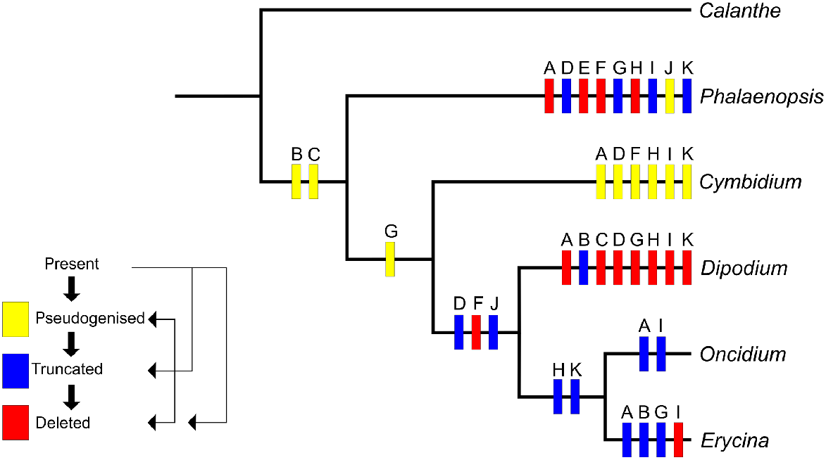 BT22075_F5.gif