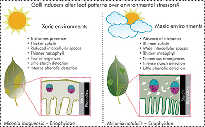 Graphical Abstract Image