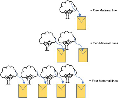 graphical abstract image
