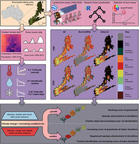 Graphical Abstract Image