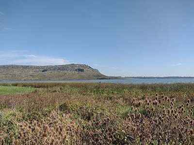 Photograph of a shallow lake sorrounded by sedges, in the Pampean region of Argentina.