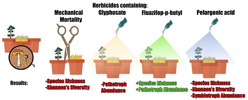 Treatments and metrics used to observe herbicide effects on soil fungal communities in bare or planted pots.