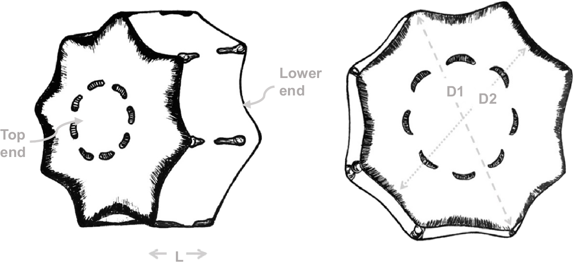 BT24090_F5.gif