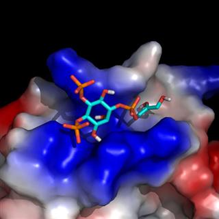 Graphical Abstract Image