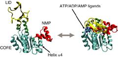 Graphical Abstract Image