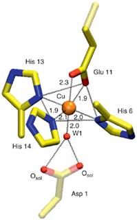 Graphical Abstract Image