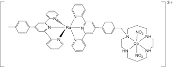 Graphical Abstract Image