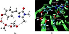 Graphical Abstract Image