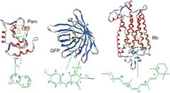 Graphical Abstract Image