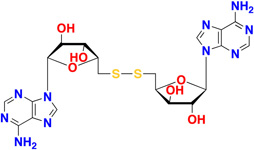 Graphical Abstract Image