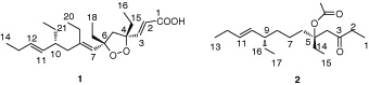 Graphical Abstract Image