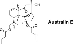 Graphical Abstract Image