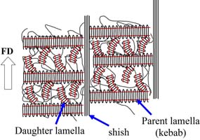 Graphical Abstract Image