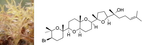 Graphical Abstract Image