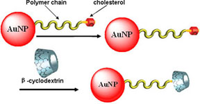 Graphical Abstract Image