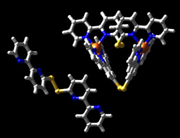 Graphical Abstract Image