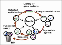 Graphical Abstract Image