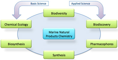 Graphical Abstract Image