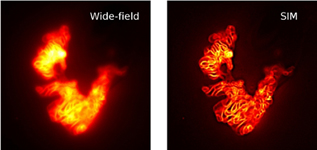 Graphical Abstract Image