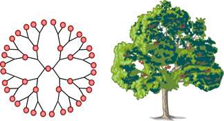 Graphical Abstract Image