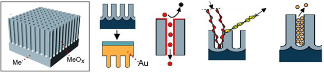 Graphical Abstract Image