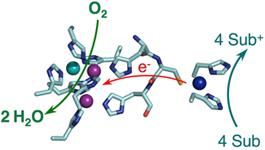 Graphical Abstract Image