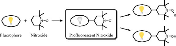 Graphical Abstract Image