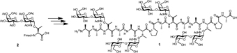 Graphical Abstract Image