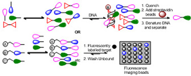 Graphical Abstract Image