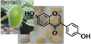 Graphical Abstract Image