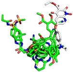 Graphical Abstract Image