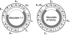 Graphical Abstract Image