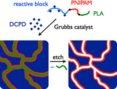 Graphical Abstract Image