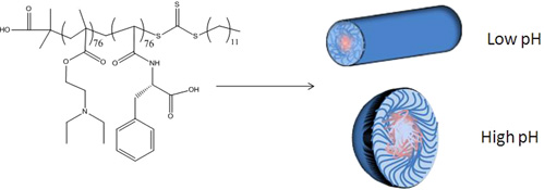 Graphical Abstract Image