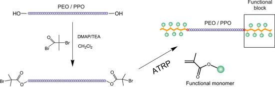 Graphical Abstract Image