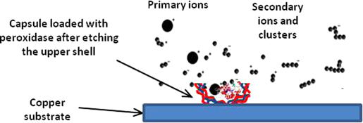 Graphical Abstract Image