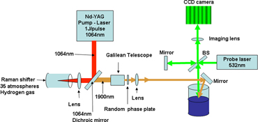 Graphical Abstract Image