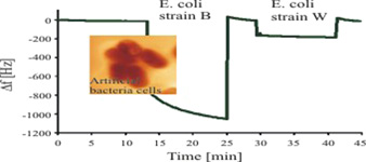 Graphical Abstract Image