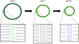 Graphical Abstract Image