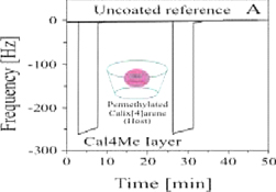 Graphical Abstract Image