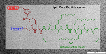 Graphical Abstract Image
