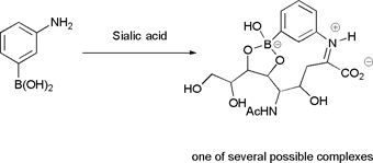 Graphical Abstract Image