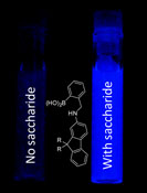 Graphical Abstract Image