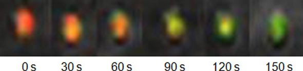 Graphical Abstract Image