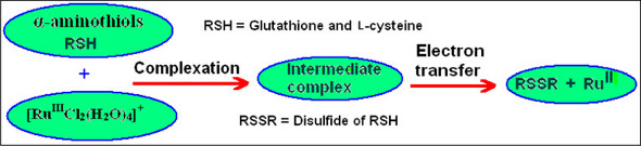 Graphical Abstract Image