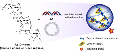 Graphical Abstract Image