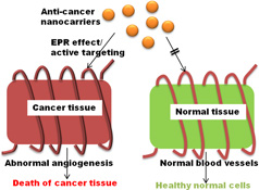 Graphical Abstract Image